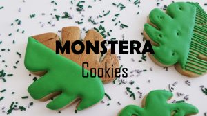 Read more about the article How to Decorate a Monstera Leaf Cookie